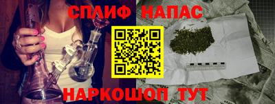 шишки Аша
