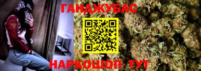 шишки Аша