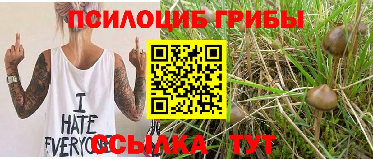 Галлюциногенные грибы Magic Shrooms Зерноград