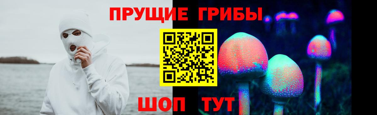 Зерноград  Галлюциногенные грибы Magic Shrooms  Вход с VPN 